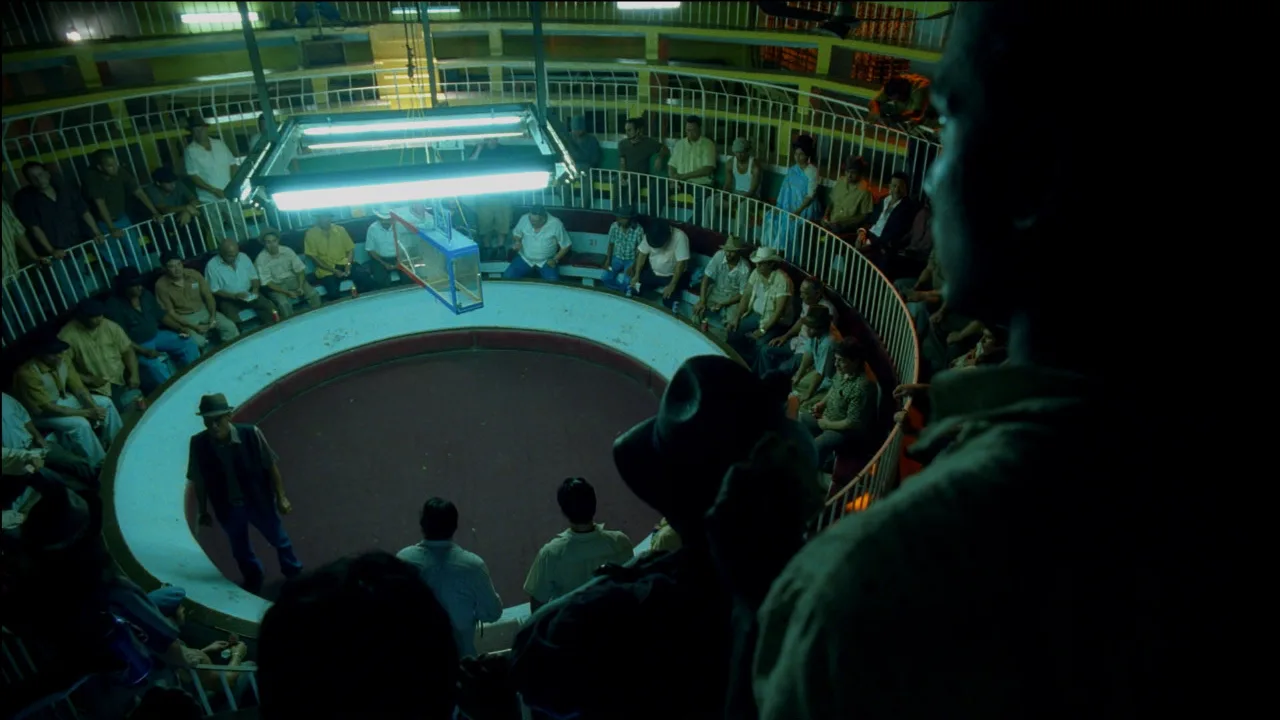 Losers production design — Cock Fight